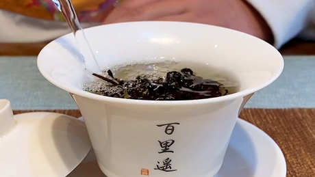 养生壶煮红茶的正确方法