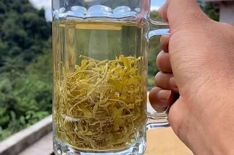 张家界莓茶保质期几年
