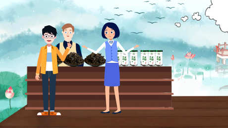 新手怎么买茶？