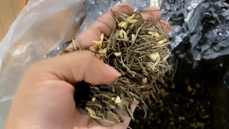 茉莉花茶等级