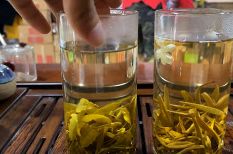 茉莉花茶等级