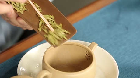 哪种茶碱性最强