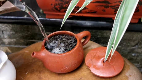 乌龙茶能冷泡吗？