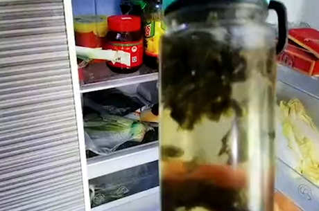 乌龙茶能冷泡吗？