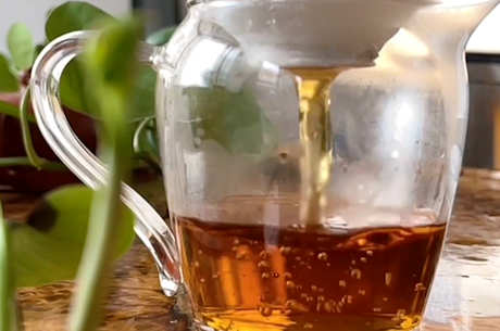 六种茶的颜色差异