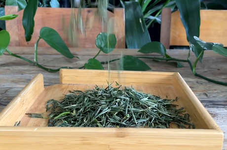 六种茶的颜色差异