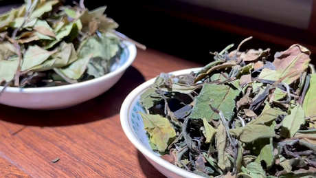白茶是酸性还是碱性