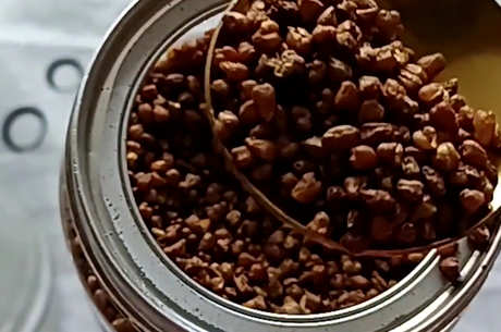 什么颜色的苦荞茶好？