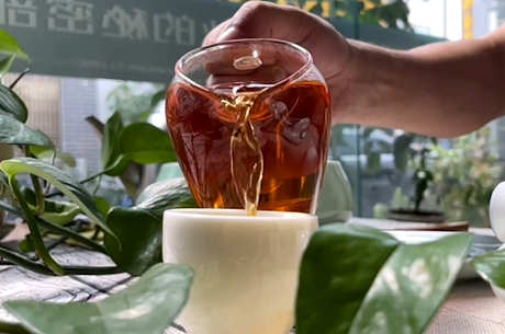 六种茶汤的颜色