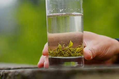 六种茶汤的颜色