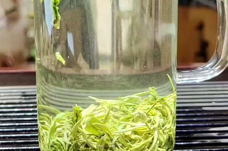 信阳毛尖的味道和味道