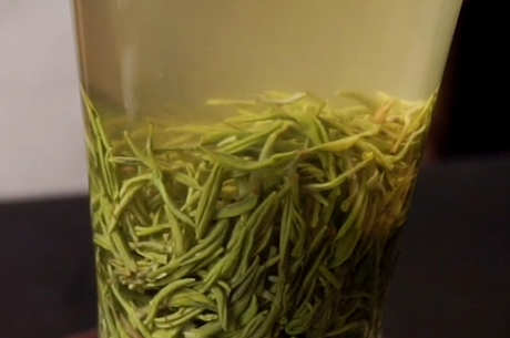 毛尖茶的口感特点