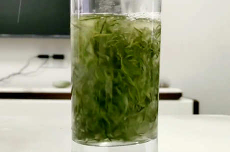毛尖茶的口感特点