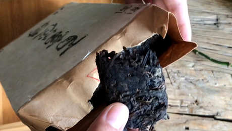 什么是黑色短茶？茶？