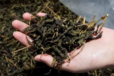 乌龙茶属于什么茶热凉