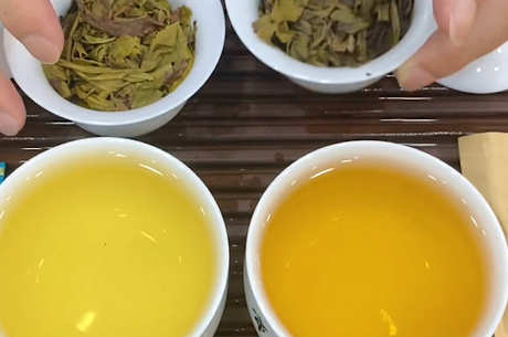 各种茶汤的颜色是什么？