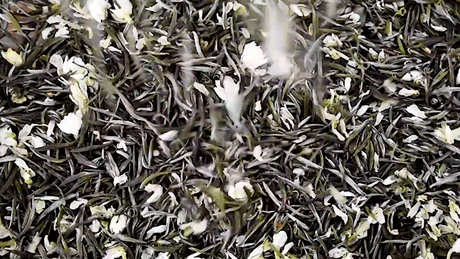 茉莉花茶的口感特点
