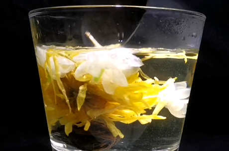 如何描述菊花茶的味道？