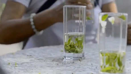 茉莉花茶的味道是什么？