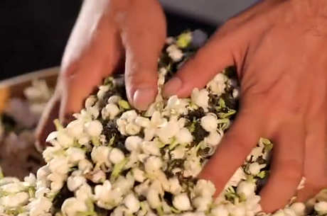 茉莉花茶的味道是什么？