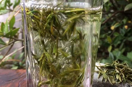 越山黛茶属于什么茶？