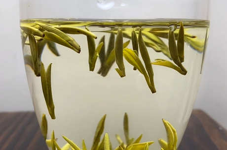 越山黛茶属于什么茶？