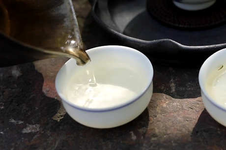 茉莉花茶是什么样的？