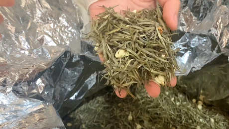 茉莉花茶是什么茶？