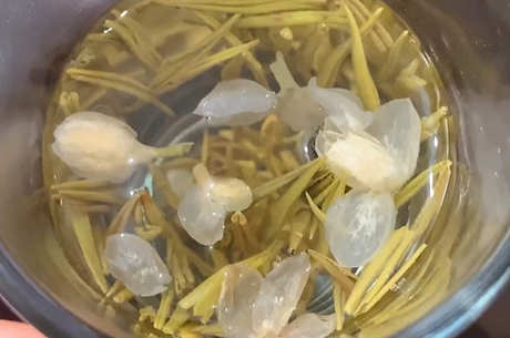 茉莉花茶是什么茶？