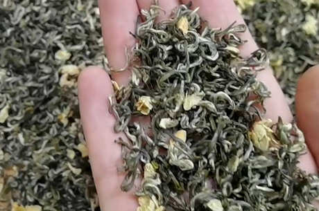 茉莉花茶的味道