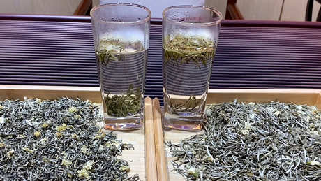 茉莉花茶的味道如何？