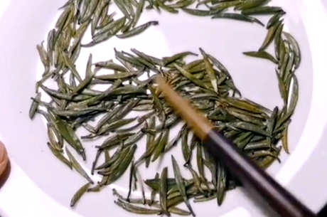 茶香是什么意思？