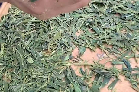 龙井茶的味道如何？