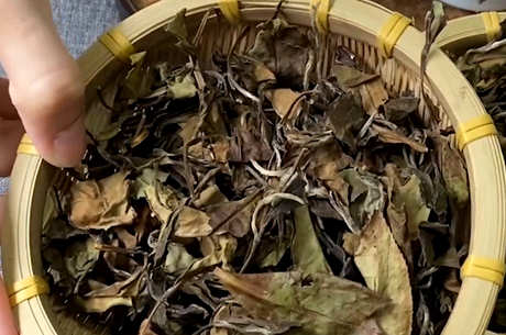 什么味道的白茶？