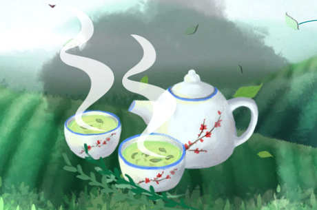 懂茶的人一般喝什么茶？