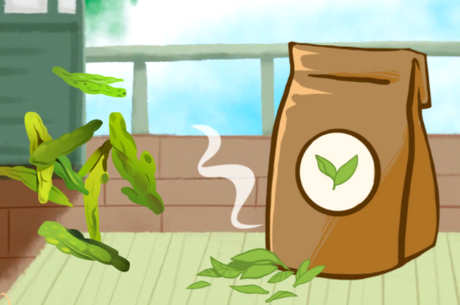懂茶的人一般喝什么茶？