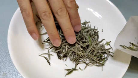 碱性茶是什么茶？