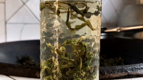 什么是红茶，什么是绿茶？有什么区别？
