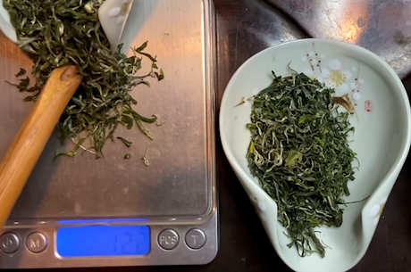 什么是红茶，什么是绿茶？有什么区别？
