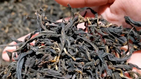 高香茶是什么意思？