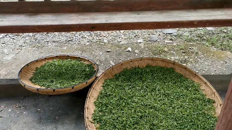 茶的种类有哪些？