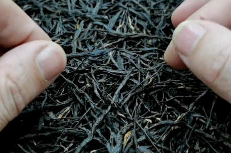 茶的种类有哪些？