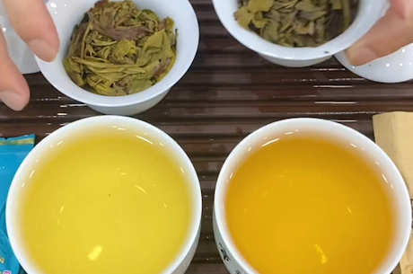 茶的种类有哪些？