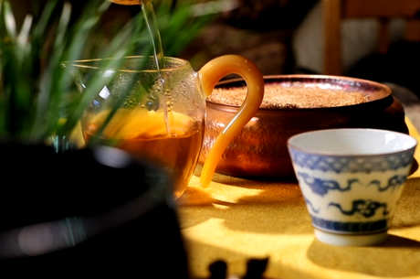 第一泡不能喝什么茶？