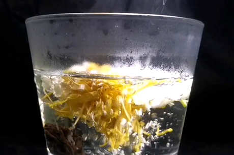 各种茶的搭配方法