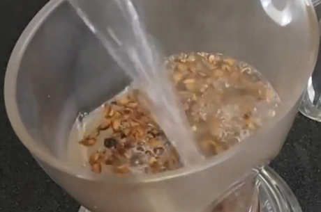 大麦茶可以搭配什么？