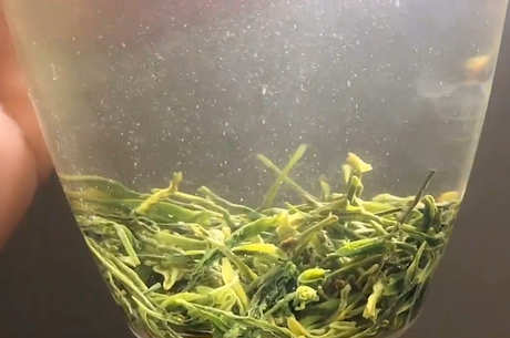 十大名茶有哪些？
