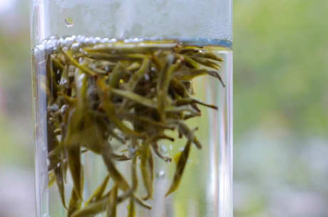 十大名茶有哪些？