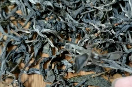 如何冲泡普洱茶最好