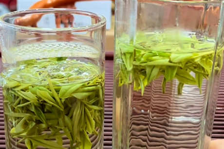 茶有哪些品种？